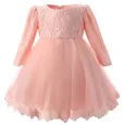 Официална Детска Рокля с Дълъг Ръкав Pink Princess