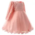 Официална Детска Рокля с Дълъг Ръкав Pink Princess
